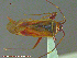  ( - UAM:Ento:213981)  @13 [ ] CreativeCommons - Attribution Non-Commercial No Derivatives (2014) Derek Sikes University of Alaska Museum