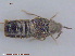  ( - UAM:Ento:221913)  @12 [ ] CreativeCommons - Attribution Non-Commercial No Derivatives (2015) Derek Sikes University of Alaska Museum