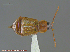  ( - UAM:Ento:232876)  @13 [ ] CreativeCommons - Attribution Non-Commercial No Derivatives (2014) Derek Sikes University of Alaska Museum