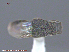  ( - UAM:Ento:237488)  @12 [ ] CreativeCommons - Attribution Non-Commercial No Derivatives (2015) Derek Sikes University of Alaska Museum