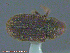  ( - UAM:Ento:238338)  @11 [ ] CreativeCommons - Attribution Non-Commercial No Derivatives (2014) Derek Sikes University of Alaska Museum