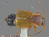  ( - UAM:Ento:240545)  @13 [ ] CreativeCommons - Attribution Non-Commercial No Derivatives (2014) Derek Sikes University of Alaska Museum