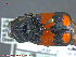  ( - UAM:Ento:241240)  @14 [ ] CreativeCommons - Attribution Non-Commercial No Derivatives (2014) Derek Sikes University of Alaska Museum