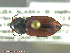  ( - UAM:Ento:243624)  @13 [ ] CreativeCommons - Attribution Non-Commercial No Derivatives (2014) Derek Sikes University of Alaska Museum
