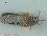  ( - UAM:Ento:245048)  @11 [ ] CreativeCommons - Attribution Non-Commercial No Derivatives (2015) Derek Sikes University of Alaska Museum