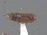  ( - UAM:Ento:246811)  @12 [ ] CreativeCommons  Attribution Non-Commercial No Derivatives (2016) Derek Sikes University of Alaska Museum