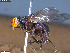  ( - UAM:Ento:252325)  @11 [ ] CreativeCommons  Attribution Non-Commercial No Derivatives (2023) Derek Sikes University of Alaska Museum