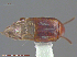 ( - UAM:Ento:256274)  @11 [ ] CreativeCommons - Attribution Non-Commercial No Derivatives (2014) Derek Sikes University of Alaska Museum