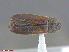  ( - UAM:Ento:313743)  @12 [ ] CreativeCommons  Attribution Non-Commercial No Derivatives (2016) Derek Sikes University of Alaska Museum