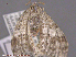  ( - KWP:Ento:14894)  @12 [ ] CreativeCommons - Attribution Non-Commercial No Derivatives (2015) Derek Sikes University of Alaska Museum