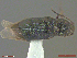  ( - UAM:Ento:333851)  @12 [ ] CreativeCommons  Attribution Non-Commercial No Derivatives (2018) Derek Sikes University of Alaska Museum