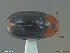  ( - UAM:Ento:342821)  @11 [ ] CreativeCommons  Attribution Non-Commercial No Derivatives (2018) Derek Sikes University of Alaska Museum
