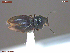 ( - UAM:Ento:361733)  @11 [ ] CreativeCommons  Attribution Non-Commercial No Derivatives (2059) Derek Sikes University of Alaska Museum