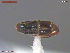  ( - UAM:Ento:381769)  @11 [ ] CreativeCommons  Attribution Non-Commercial No Derivatives (2019) Derek Sikes University of Alaska Museum