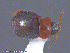  ( - UAM:Ento:121928)  @13 [ ] CreativeCommons - Attribution Non-Commercial No Derivatives (2014) Derek Sikes University of Alaska Museum