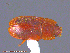  ( - UAM:Ento:122367)  @13 [ ] CreativeCommons - Attribution Non-Commercial No Derivatives (2014) Derek Sikes University of Alaska Museum