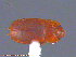  ( - UAM:Ento:122366)  @12 [ ] CreativeCommons - Attribution Non-Commercial No Derivatives (2014) Derek Sikes University of Alaska Museum