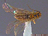  ( - UAM:Ento:154057)  @12 [ ] CreativeCommons - Attribution Non-Commercial No Derivatives (2014) Derek Sikes University of Alaska Museum