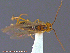  ( - UAM:Ento:154058)  @12 [ ] CreativeCommons - Attribution Non-Commercial No Derivatives (2014) Derek Sikes University of Alaska Museum