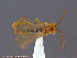  ( - UAM:Ento:154054)  @12 [ ] CreativeCommons - Attribution Non-Commercial No Derivatives (2014) Derek Sikes University of Alaska Museum