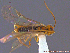  ( - UAM:Ento:154053)  @12 [ ] CreativeCommons - Attribution Non-Commercial No Derivatives (2014) Derek Sikes University of Alaska Museum