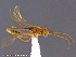  ( - UAM:Ento:153543)  @12 [ ] CreativeCommons - Attribution Non-Commercial No Derivatives (2014) Derek Sikes University of Alaska Museum
