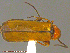  ( - UAM:Ento:207126)  @13 [ ] CreativeCommons - Attribution Non-Commercial No Derivatives (2014) Derek Sikes University of Alaska Museum
