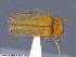  ( - UAM:Ento:204344)  @13 [ ] CreativeCommons - Attribution Non-Commercial No Derivatives (2014) Derek Sikes University of Alaska Museum