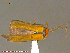  ( - UAM:Ento:208802)  @12 [ ] CreativeCommons - Attribution Non-Commercial No Derivatives (2014) Derek Sikes University of Alaska Museum
