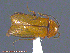  ( - UAM:Ento:216235)  @13 [ ] CreativeCommons - Attribution Non-Commercial No Derivatives (2014) Derek Sikes University of Alaska Museum