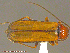  ( - UAM:Ento:214547)  @12 [ ] CreativeCommons - Attribution Non-Commercial No Derivatives (2014) Derek Sikes University of Alaska Museum