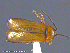 ( - UAM:Ento:214843)  @13 [ ] CreativeCommons - Attribution Non-Commercial No Derivatives (2014) Derek Sikes University of Alaska Museum