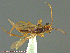  ( - UAM:Ento:233057)  @12 [ ] CreativeCommons - Attribution Non-Commercial No Derivatives (2014) Derek Sikes University of Alaska Museum