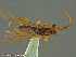  ( - UAM:Ento:232845)  @12 [ ] CreativeCommons - Attribution Non-Commercial No Derivatives (2014) Derek Sikes University of Alaska Museum