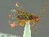  ( - UAM:Ento:232847)  @12 [ ] CreativeCommons - Attribution Non-Commercial No Derivatives (2014) Derek Sikes University of Alaska Museum