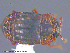  ( - UAM:Ento:240574)  @12 [ ] CreativeCommons - Attribution Non-Commercial No Derivatives (2014) Derek Sikes University of Alaska Museum