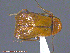  ( - UAM:Ento:245173)  @13 [ ] CreativeCommons - Attribution Non-Commercial No Derivatives (2014) Derek Sikes University of Alaska Museum