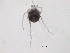  ( - BIOUG15122-A10)  @11 [ ] CreativeCommons - Attribution (2014) CBG Photography Group Centre for Biodiversity Genomics