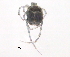  ( - BIOUG15122-G09)  @11 [ ] CreativeCommons - Attribution (2014) CBG Photography Group Centre for Biodiversity Genomics