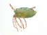  ( - BIOUG19579-A03)  @11 [ ] CreativeCommons - Attribution (2018) CBG Photography Group Centre for Biodiversity Genomics