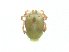  ( - BIOUG19579-C08)  @11 [ ] CreativeCommons - Attribution (2018) CBG Photography Group Centre for Biodiversity Genomics