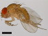  ( - 14024-0381.03)  @11 [ ] Copyright (2011) CBG Photography Group Centre for Biodiversity Genomics