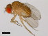  ( - 14024-0381.15)  @11 [ ] Copyright (2011) CBG Photography Group Centre for Biodiversity Genomics