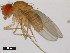  ( - 14024-0381.18)  @11 [ ] Copyright (2011) CBG Photography Group Centre for Biodiversity Genomics