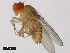  ( - 14028-0491.02)  @11 [ ] Copyright (2011) CBG Photography Group Centre for Biodiversity Genomics
