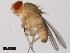  ( - 14028-0561.00)  @11 [ ] Copyright (2011) CBG Photography Group Centre for Biodiversity Genomics