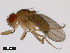  ( - 14028-0561.10)  @11 [ ] Copyright (2011) CBG Photography Group Centre for Biodiversity Genomics