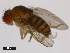  ( - 14028-0681.02)  @11 [ ] Copyright (2011) CBG Photography Group Centre for Biodiversity Genomics