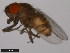  ( - 14045-0911.01)  @13 [ ] CreativeCommons - Attribution Non-Commercial Share-Alike (2011) ANIC/CBG Photography Group ANIC/Centre for Biodiversity Genomics