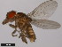  ( - 14045-0911.02)  @13 [ ] CreativeCommons - Attribution Non-Commercial Share-Alike (2011) ANIC/CBG Photography Group ANIC/Centre for Biodiversity Genomics